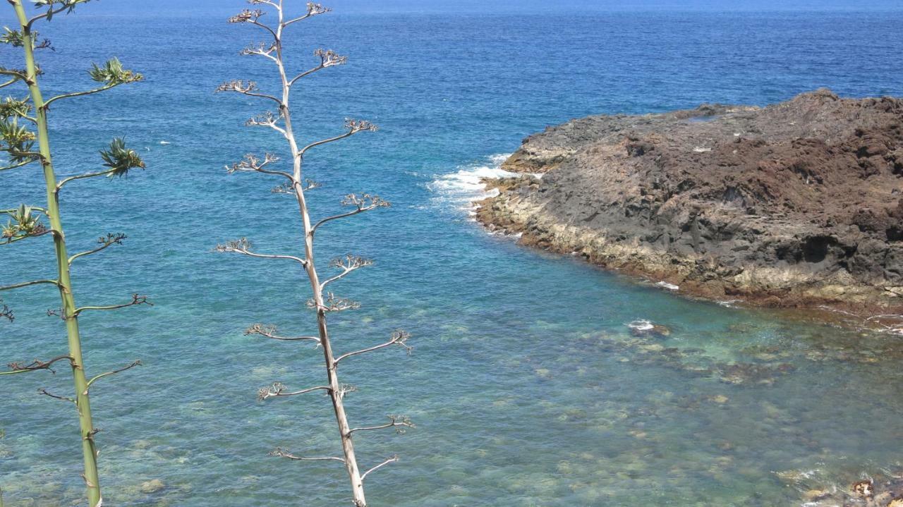 El Roque 205 - Sustainability Off The Beaten Track Tacoronte Esterno foto